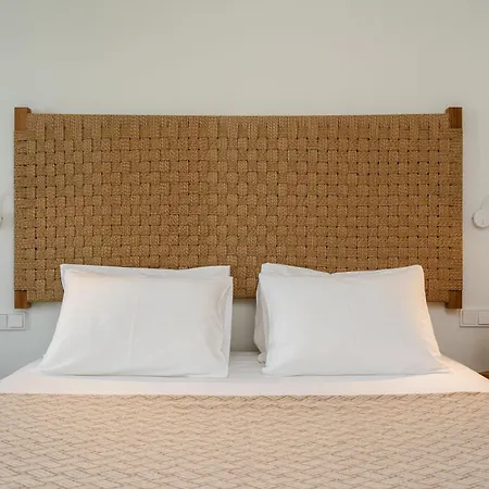 アパートホテル Alas Cycladic アギオス・プロコピオス