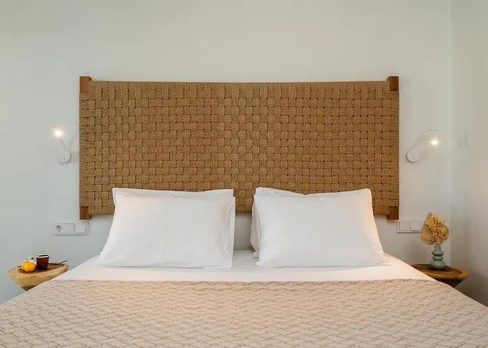 公寓式酒店 Alas Cycladic 阿吉奥斯普罗科皮奥斯