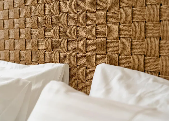 公寓式酒店 Alas Cycladic 阿吉奥斯普罗科皮奥斯